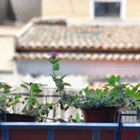 Old Terrace Apartment Catania