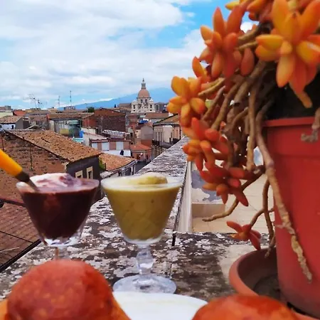 Old Terrace Apartment Catania